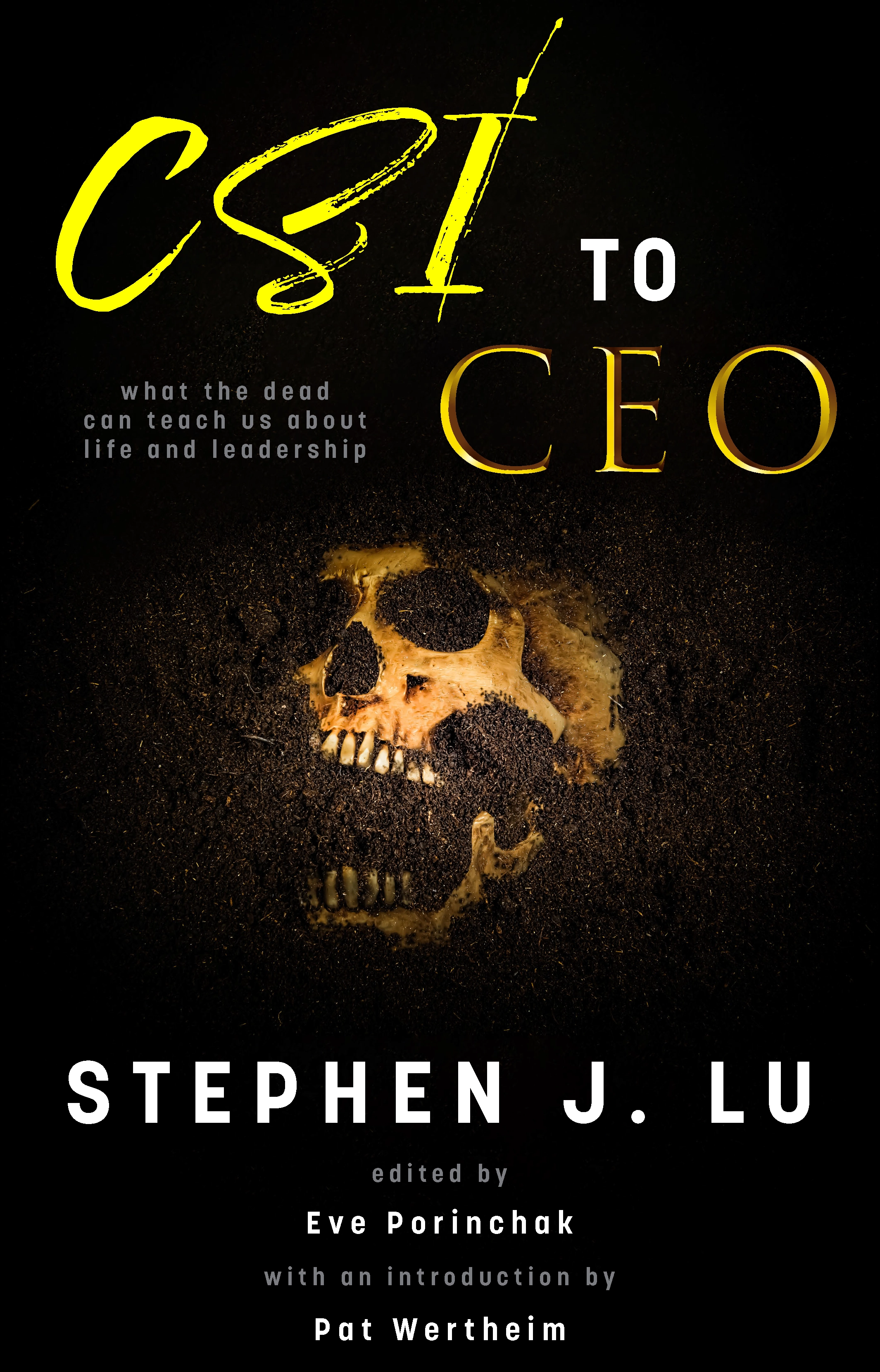 CSI to CEO Cover