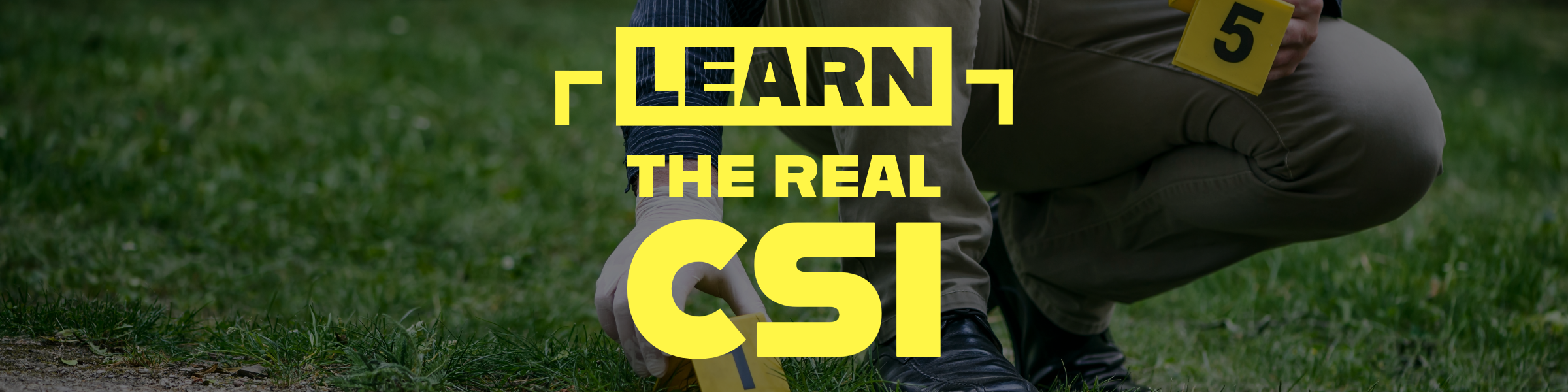 Learn the REAL CSI